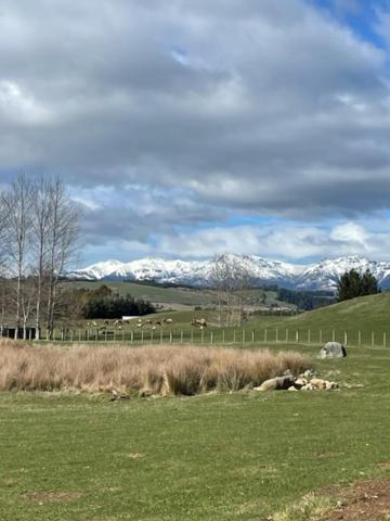 Boutique Tiny House - Te Anau Country Accommodation Luaran gambar