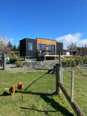 Boutique Tiny House - Te Anau Country Accommodation Luaran gambar